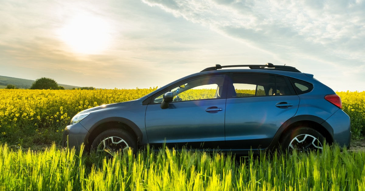 A silver Subaru Crosstrek vehicle in a grass field with yellow flowers. It's sunny outside with clear skies.